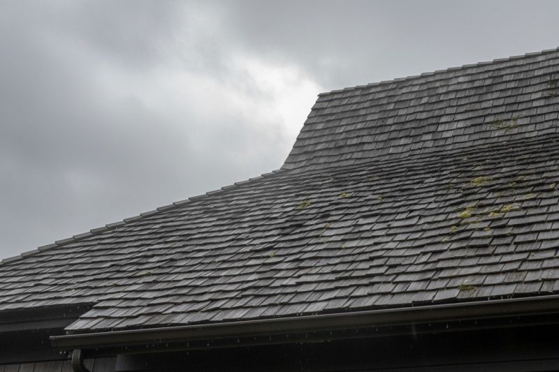 Cedar Roof Replacement in East Ellijay, GA
