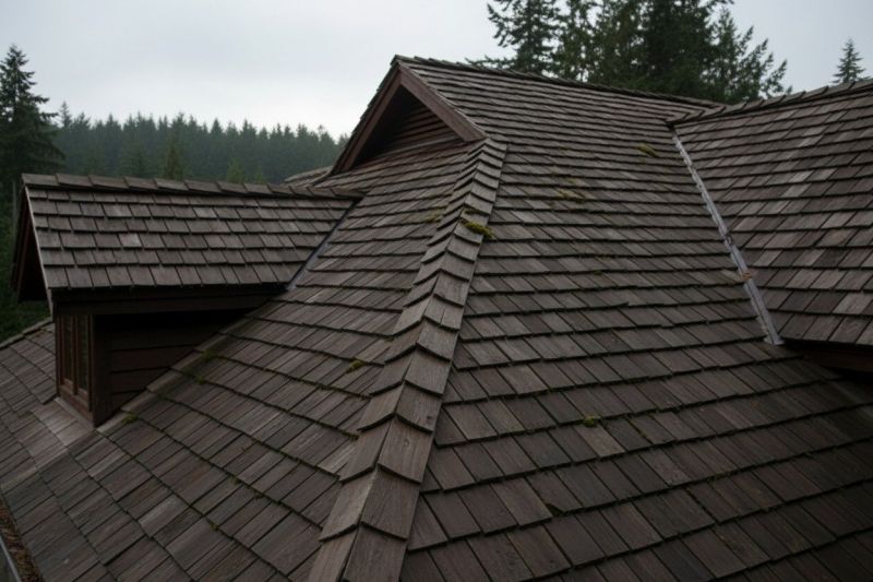 Cedar Shake Roof Replacement in Jasper, GA