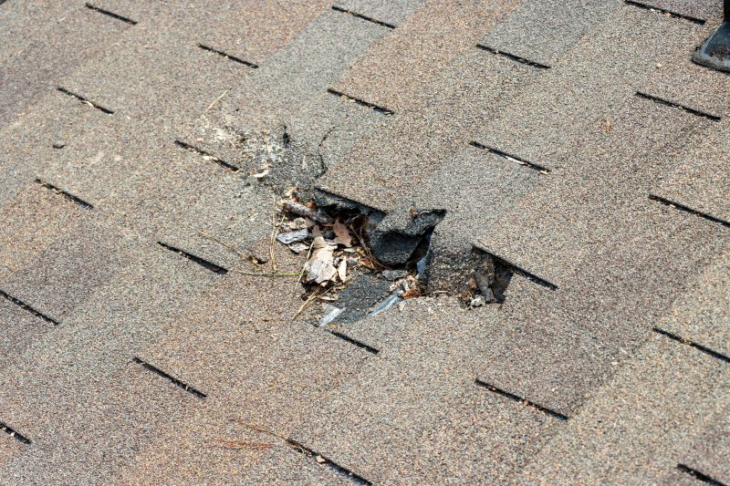 Damaged Roof Replacement in Pickens County, GA