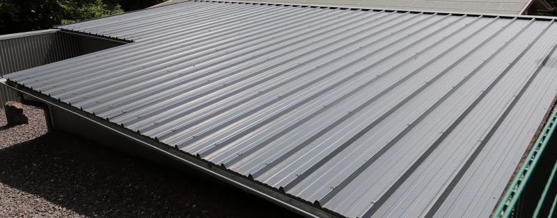 Tin Roof Installation in Dawsonville, GA