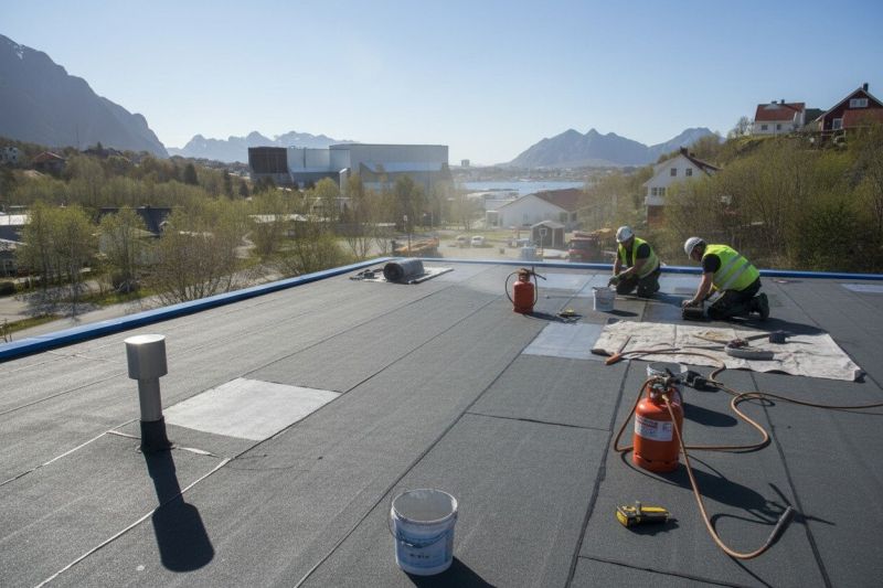 Tpo Roof Replacement in Ellijay, GA